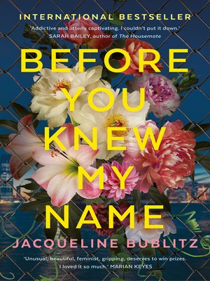 cover image of Before You Knew My Name